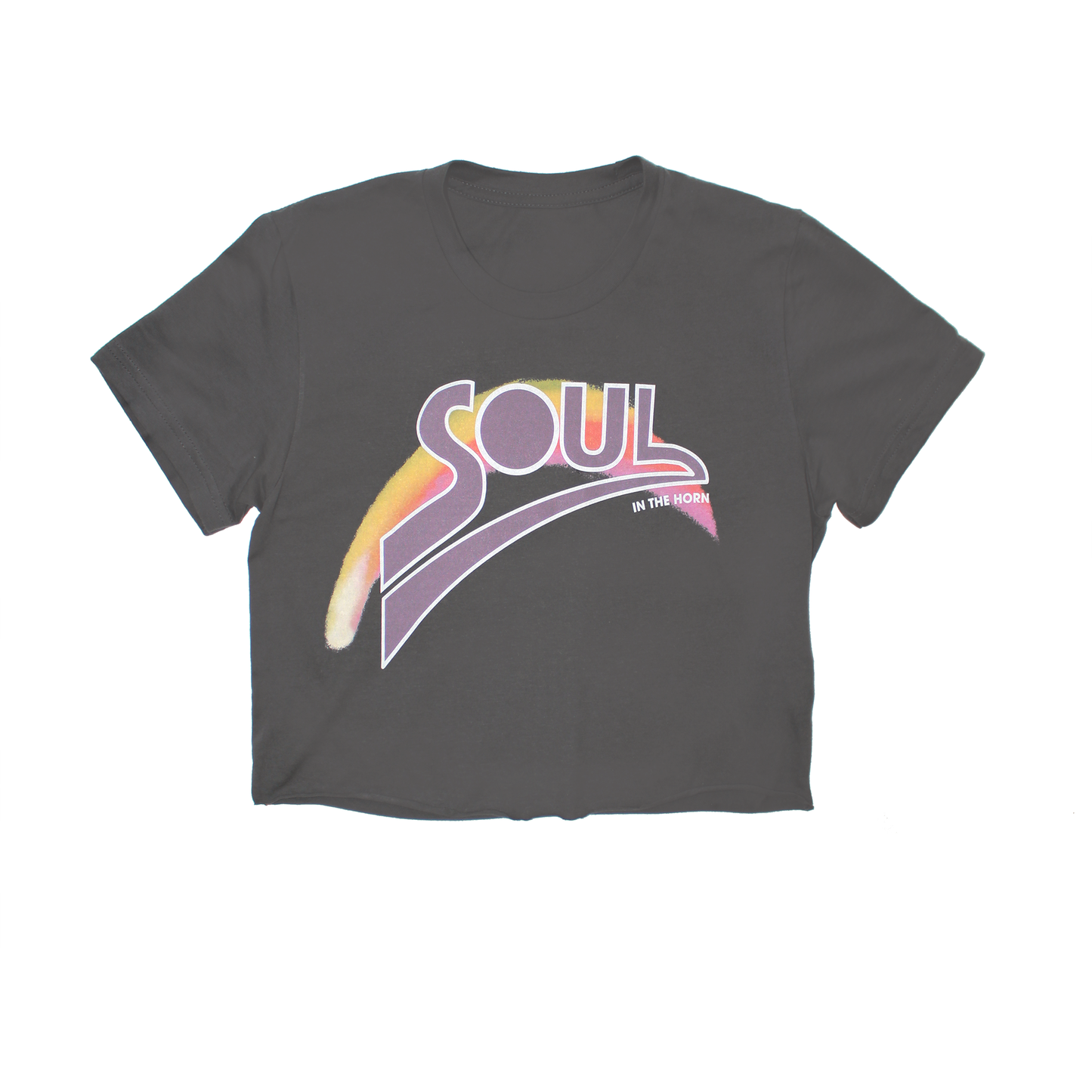 Soul Era on Skates crop top